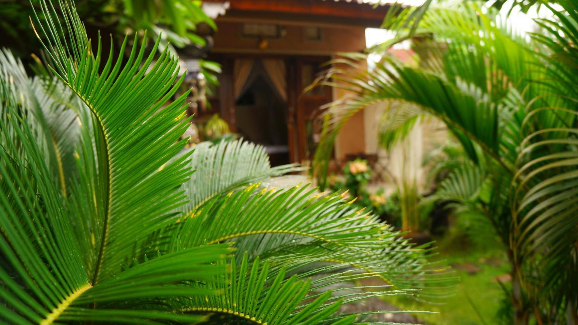 Rumahku Homestay Амед Екстер'єр фото